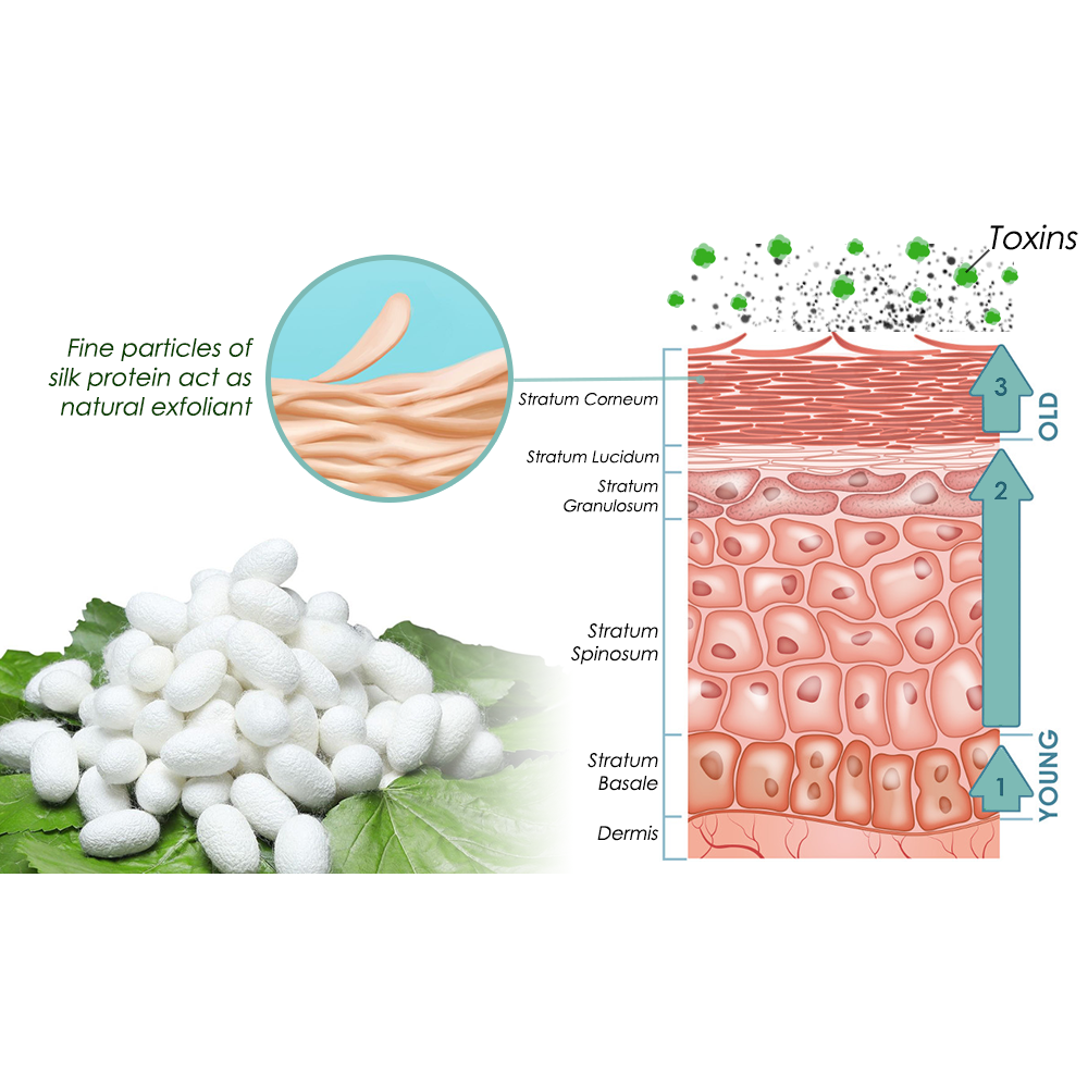 flysmus™ Silk Protein Melanin Fading Soap