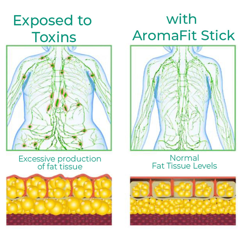 AromaFit InnerCare Detox Breathing Stick