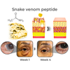 Load image into Gallery viewer, GFOUK™ RevitaLine SnakeVenom Peptide Eye Cream